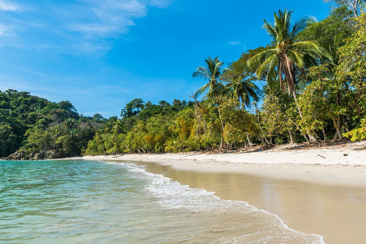 Buena Vista Beach Villas Manuel Antonio Bagian luar foto